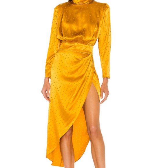 Ronny Kobo Blake Dress - Picture 6 of 6